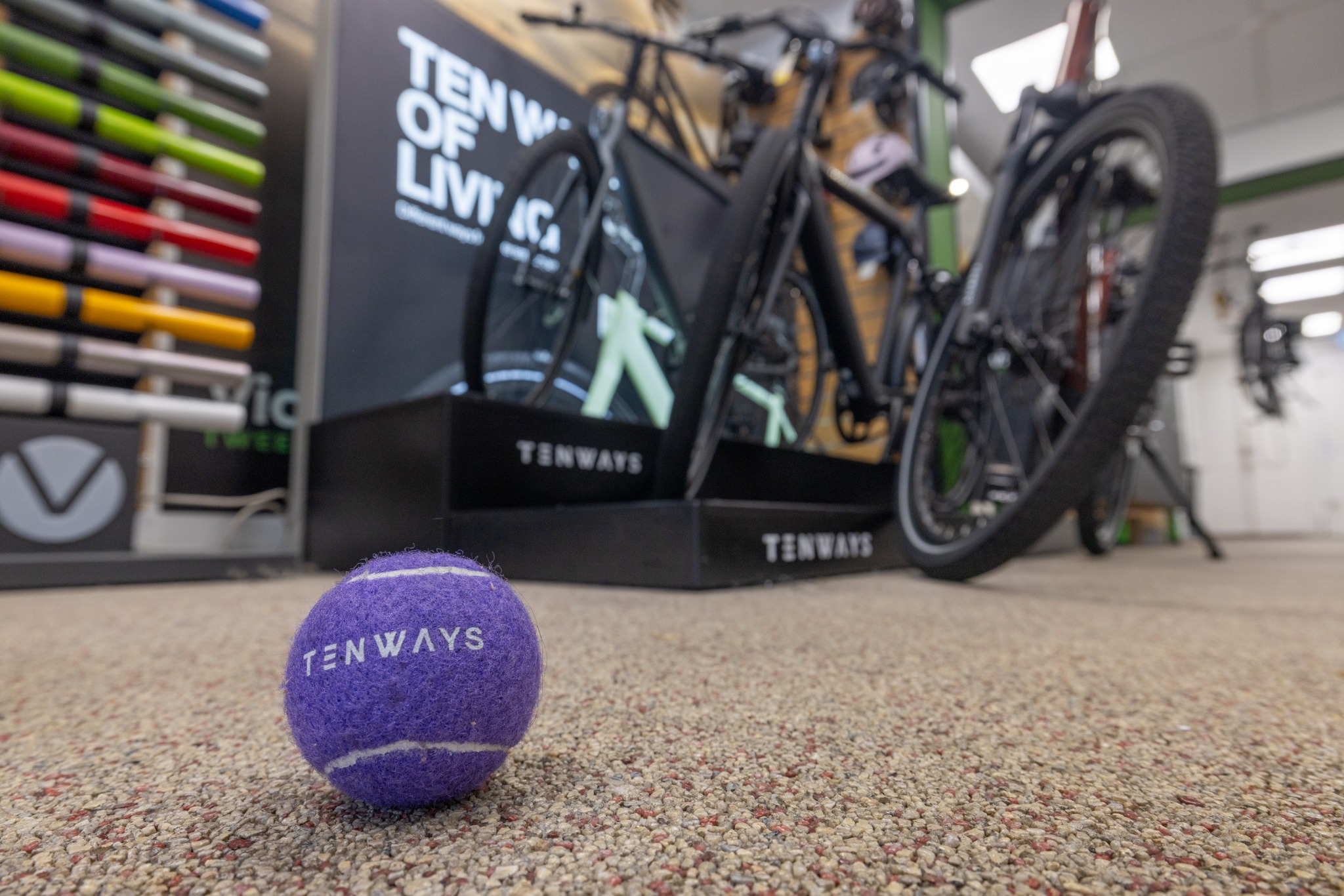 Tenways-fietsen en kleurstalen in de winkel van Vianen Tweewielers